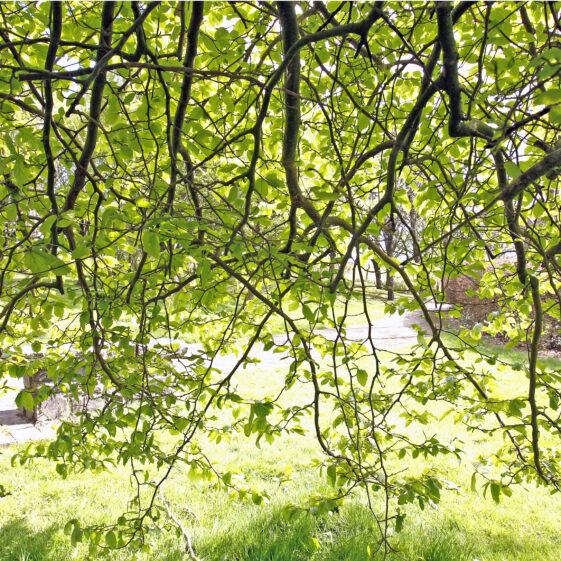 Imagery of Milltown