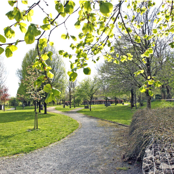 Imagery of Milltown