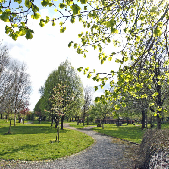 Imagery of Milltown