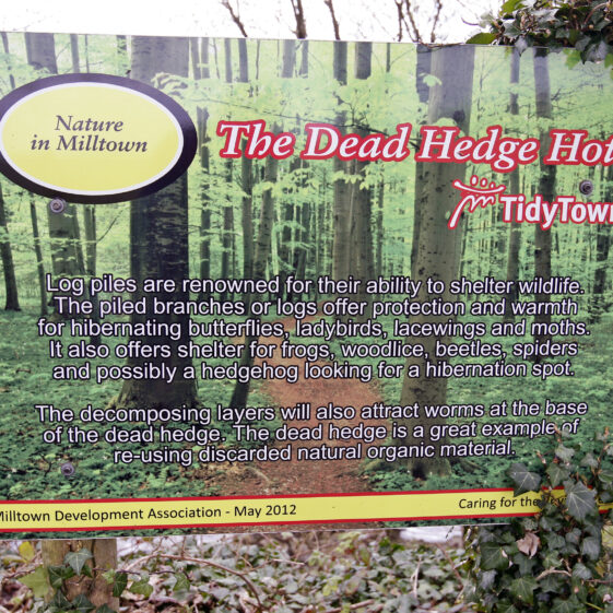 Imagery of Milltown
