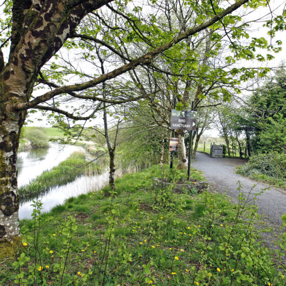 Imagery of Milltown