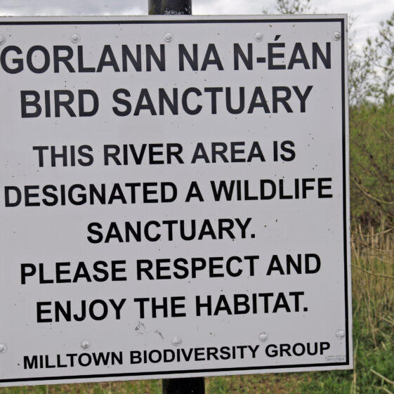 Imagery of Milltown