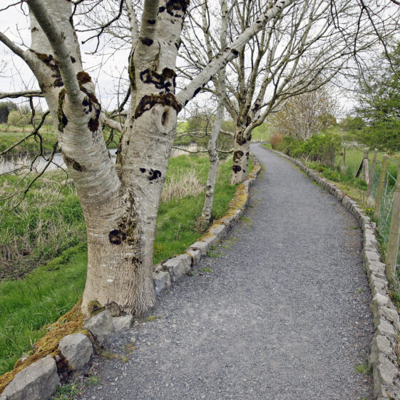 Imagery of Milltown