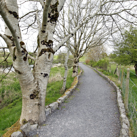 Imagery of Milltown