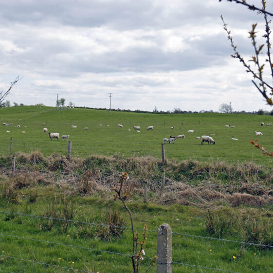 Imagery of Milltown