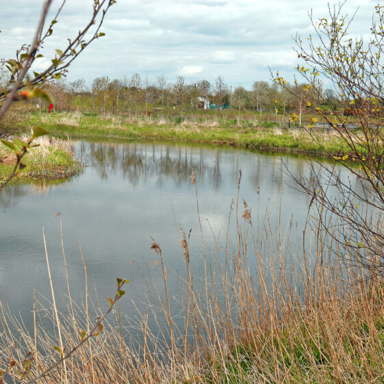 Imagery of Milltown