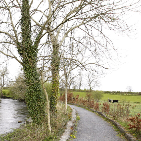 Imagery of Milltown