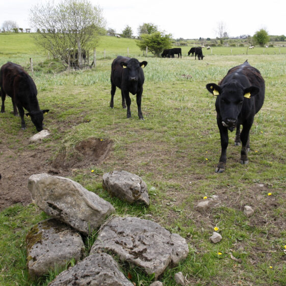 Imagery of Milltown