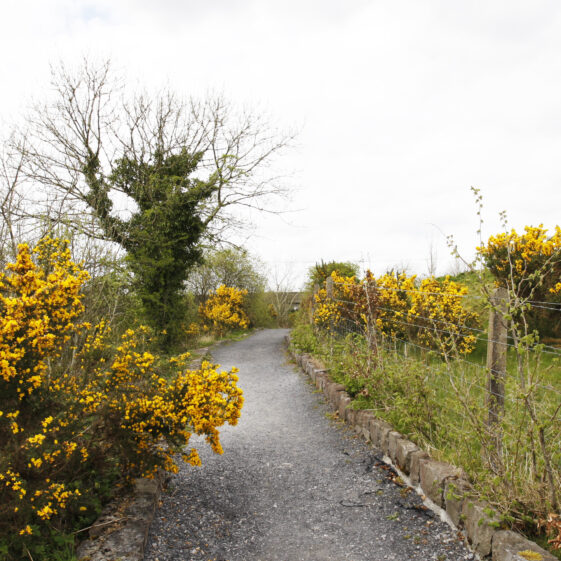 Imagery of Milltown