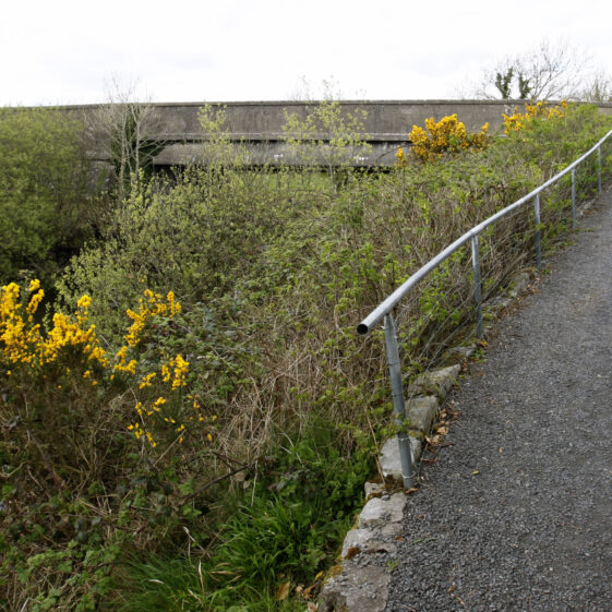 Imagery of Milltown