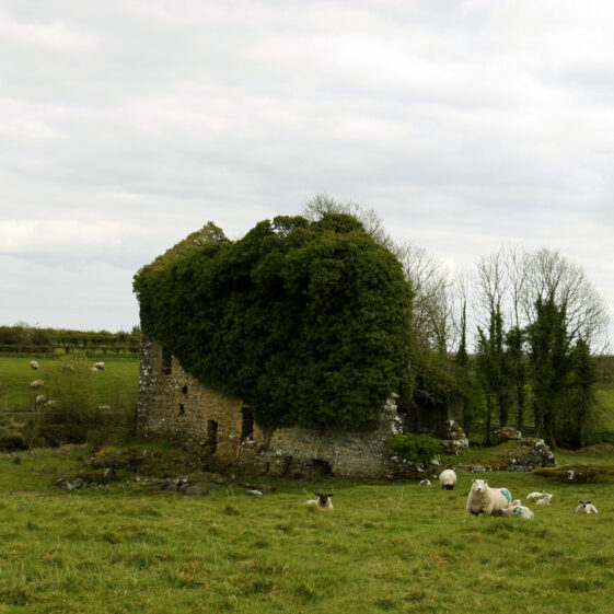 Imagery of Milltown