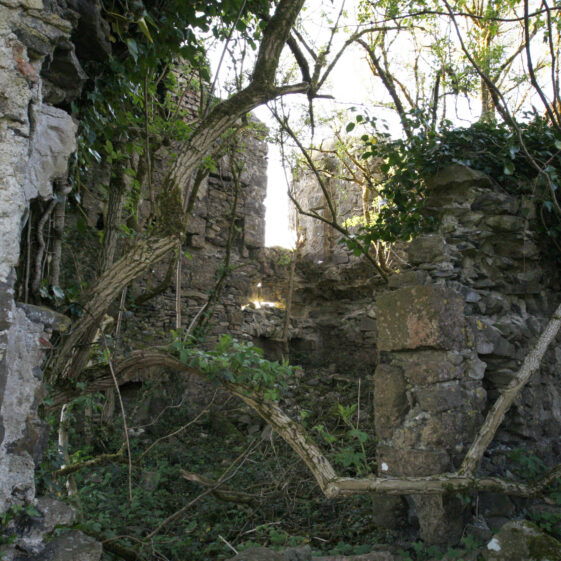 Imagery of Milltown