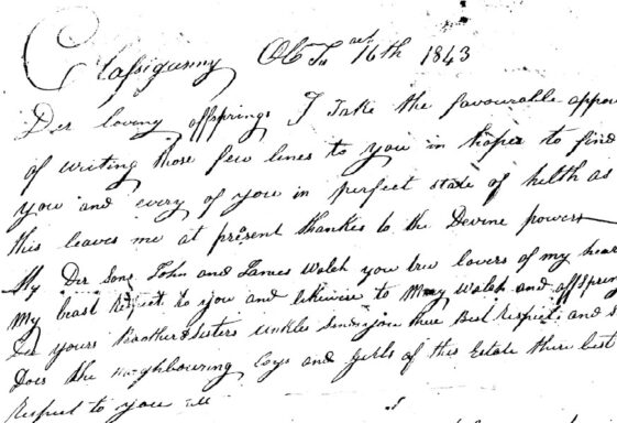Welch Letter