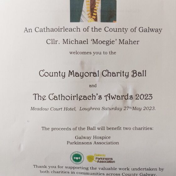 Mayor's Ball | Photo: Cathal McHugh