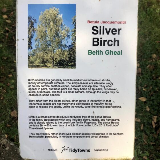 Slí Abhainn an Chláir