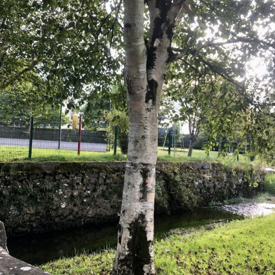 Slí Abhainn an Chláir