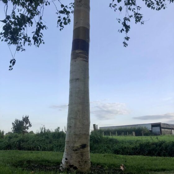 Slí Abhainn an Chláir