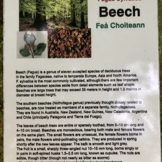 Slí Abhainn an Chláir