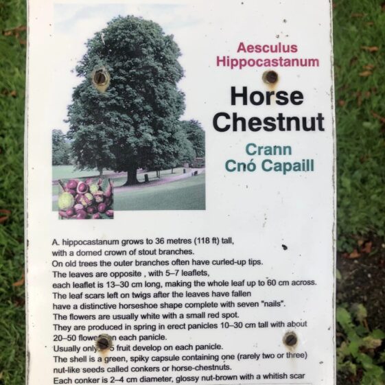 Slí Abhainn an Chláir