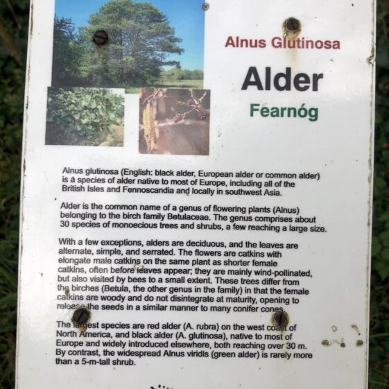 Slí Abhainn an Chláir