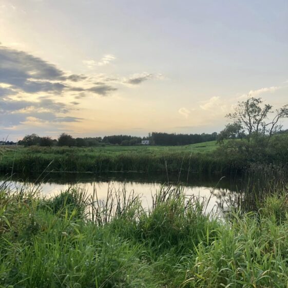Slí Abhainn an Chláir