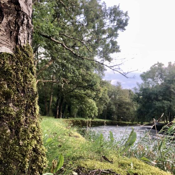 Slí Abhainn an Chláir