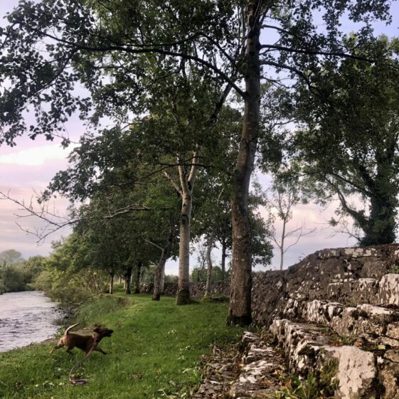 Slí Abhainn an Chláir