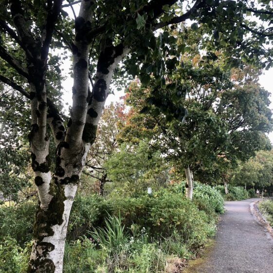 Slí Abhainn an Chláir