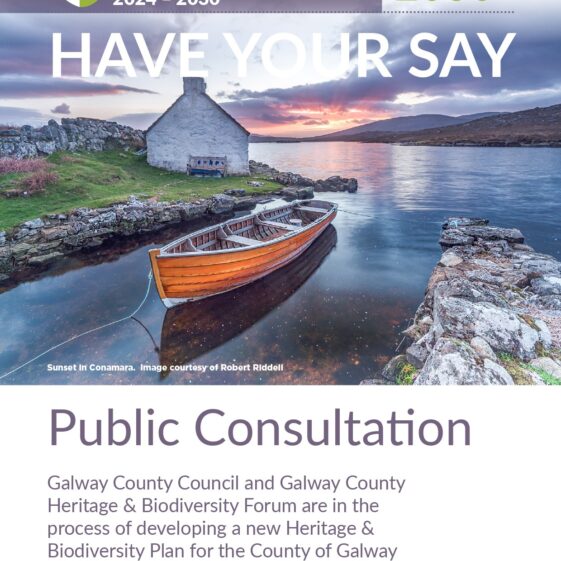 Heritage and Biodiversity Plan 2024 - 2030