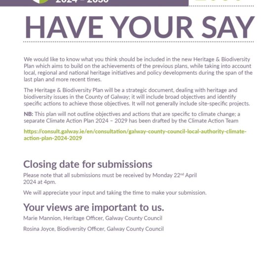 Heritage and Biodiversity Plan 2024 - 2030