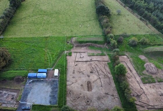 Archaeological Site Dig 2024
