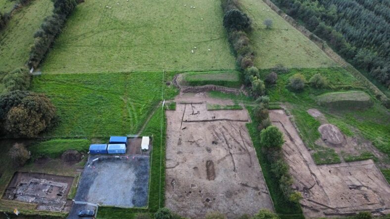 Archaeological Site Dig 2024