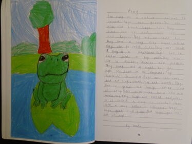 Frog by Greda