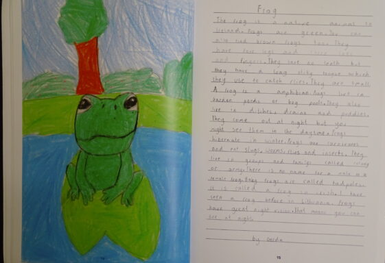 Frog