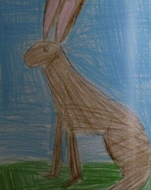 Hare