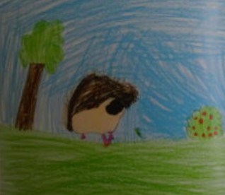 The hedgehog