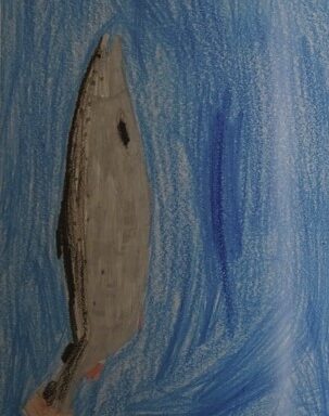 Salmon