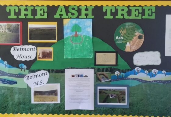 Poem and video on The Ash Tree Project