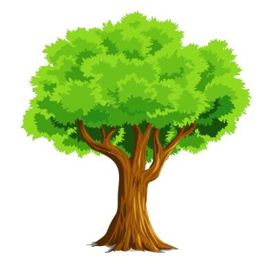 My Ash Tree Poem