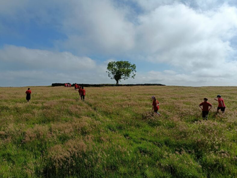 Ash Tree visit | Photo: Ms Martina McGrath, 19092025