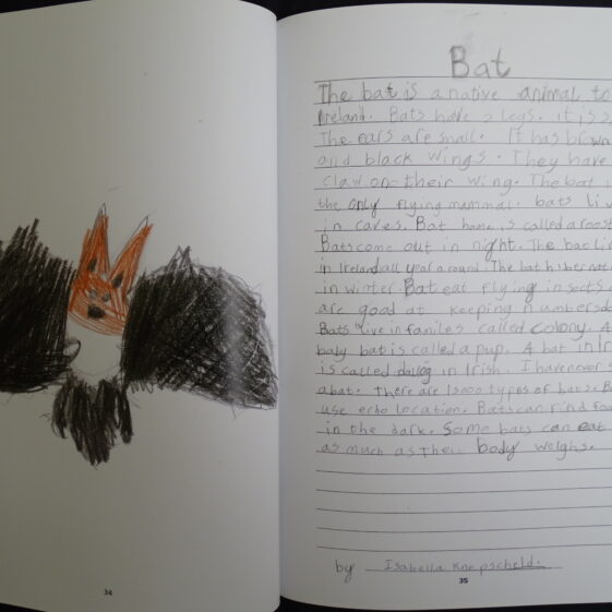 Bat Bat | By Isabella Knepscheld