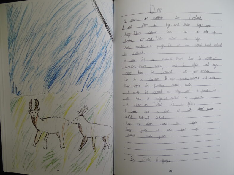 Deer | By Oran Rafferty