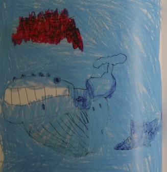 Humpback Whale