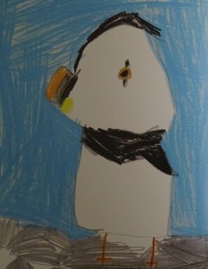 Puffin
