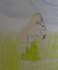 Red Squirrel