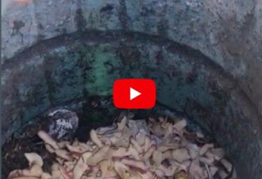 Tip #4: Composting Household Waste