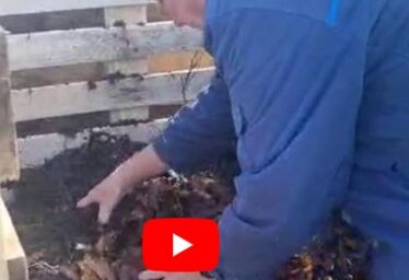 Tip #1: Leaf Compost ‘Black Gold’