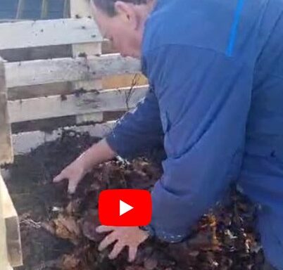Sustainable Gardening Series