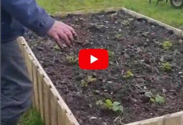 Milltown Tidy Towns