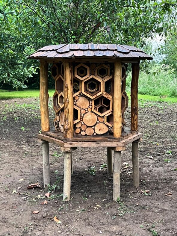 Bug Hotel